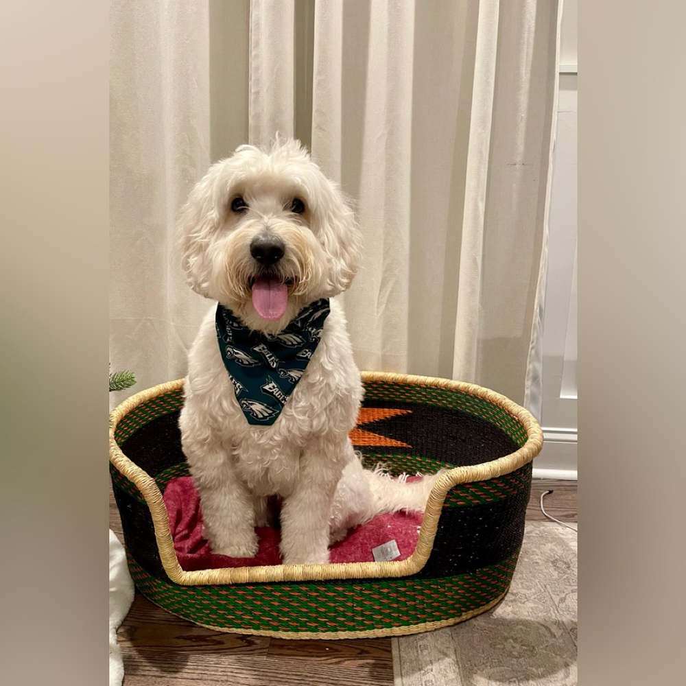 Dog bed